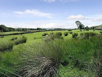 Dom wakacyjny The Milking Parlour